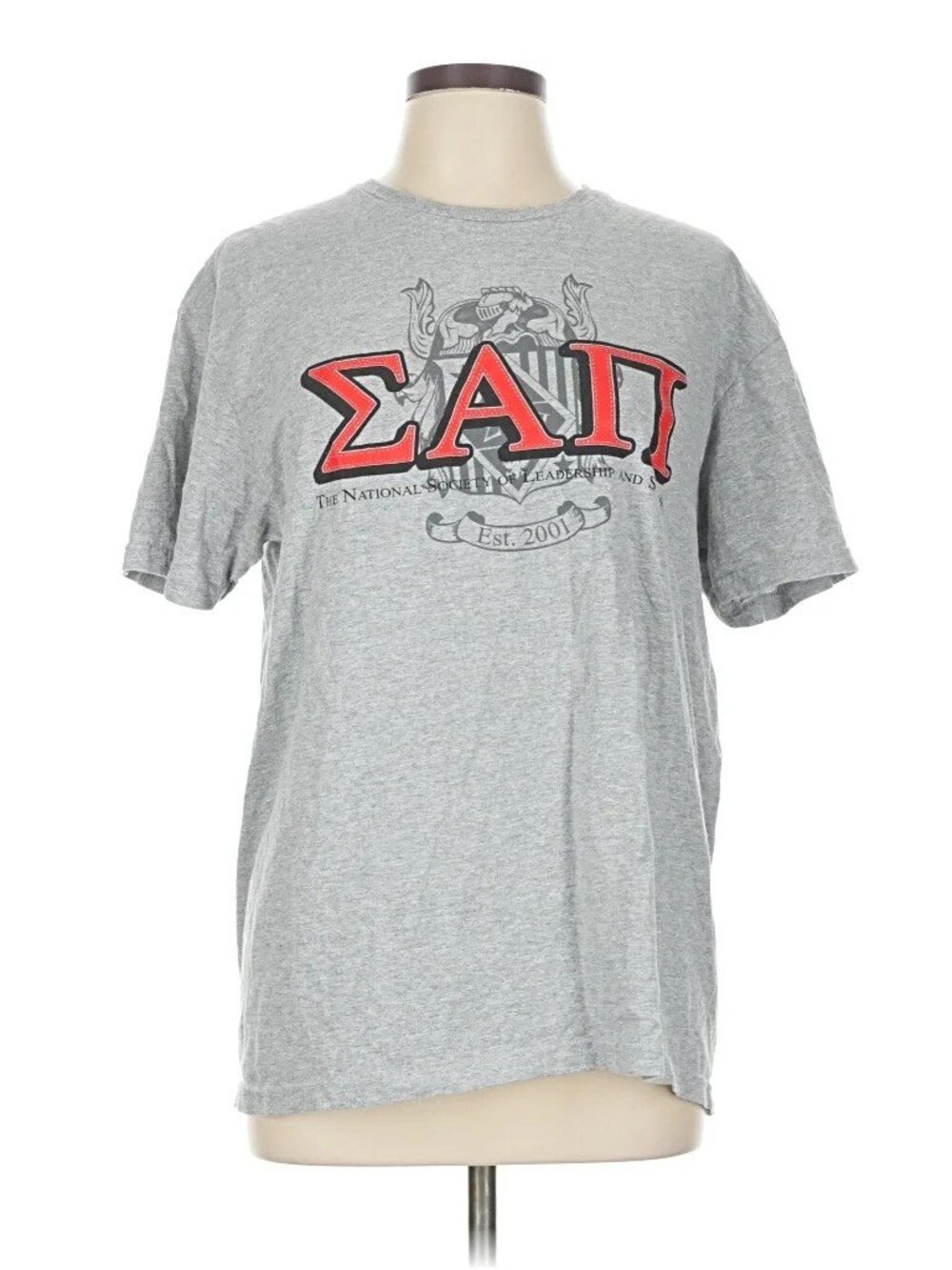 Sigma Alpha Pi National Society Of Leadership And Success T-Shirt L - Gildan